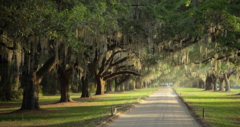 Boone Plantation, South Carolina