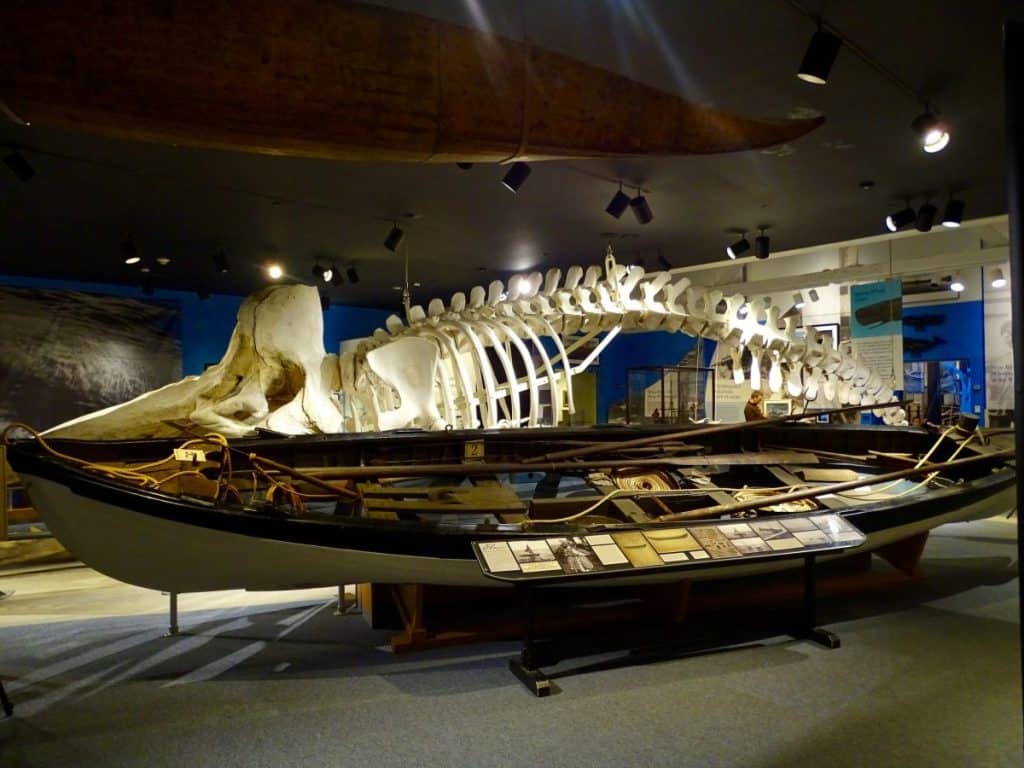 Baby Bogg Bag – The New Bedford Whaling Museum