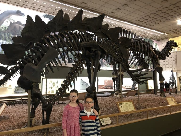 Yale Peabody Museum of Natural History in New Haven, CT