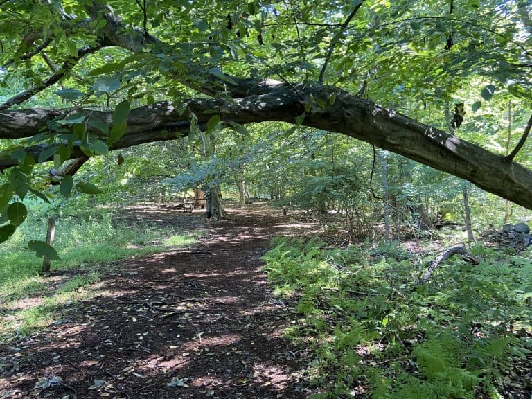 10 Things to Do at Earthplace in Westport, Connecticut