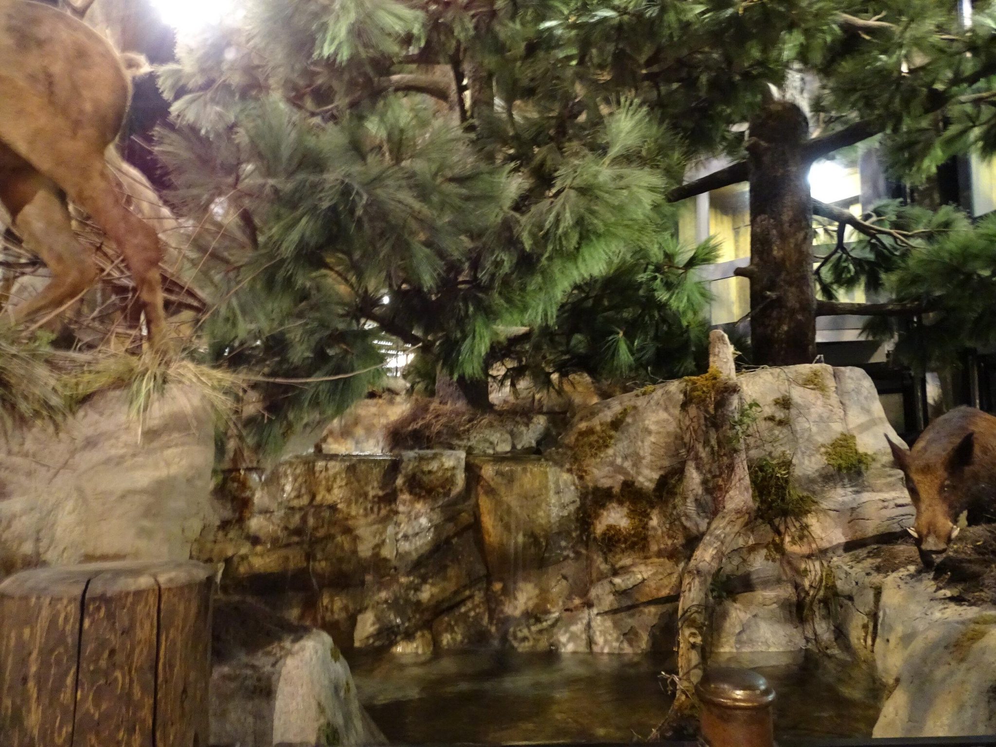 13 Things to Do at Bass Pro Shops in Memphis, Tennessee ...