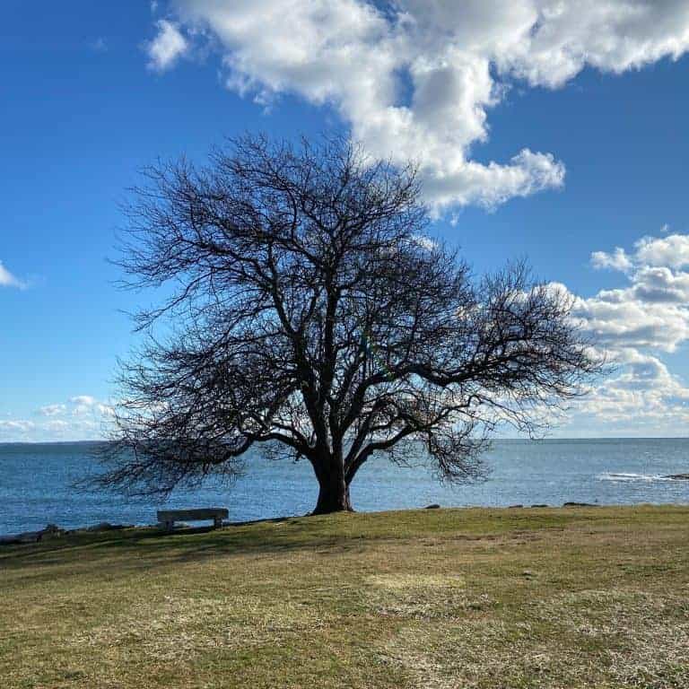 10 Family Friendly Places to Hike in Mystic, Connecticut