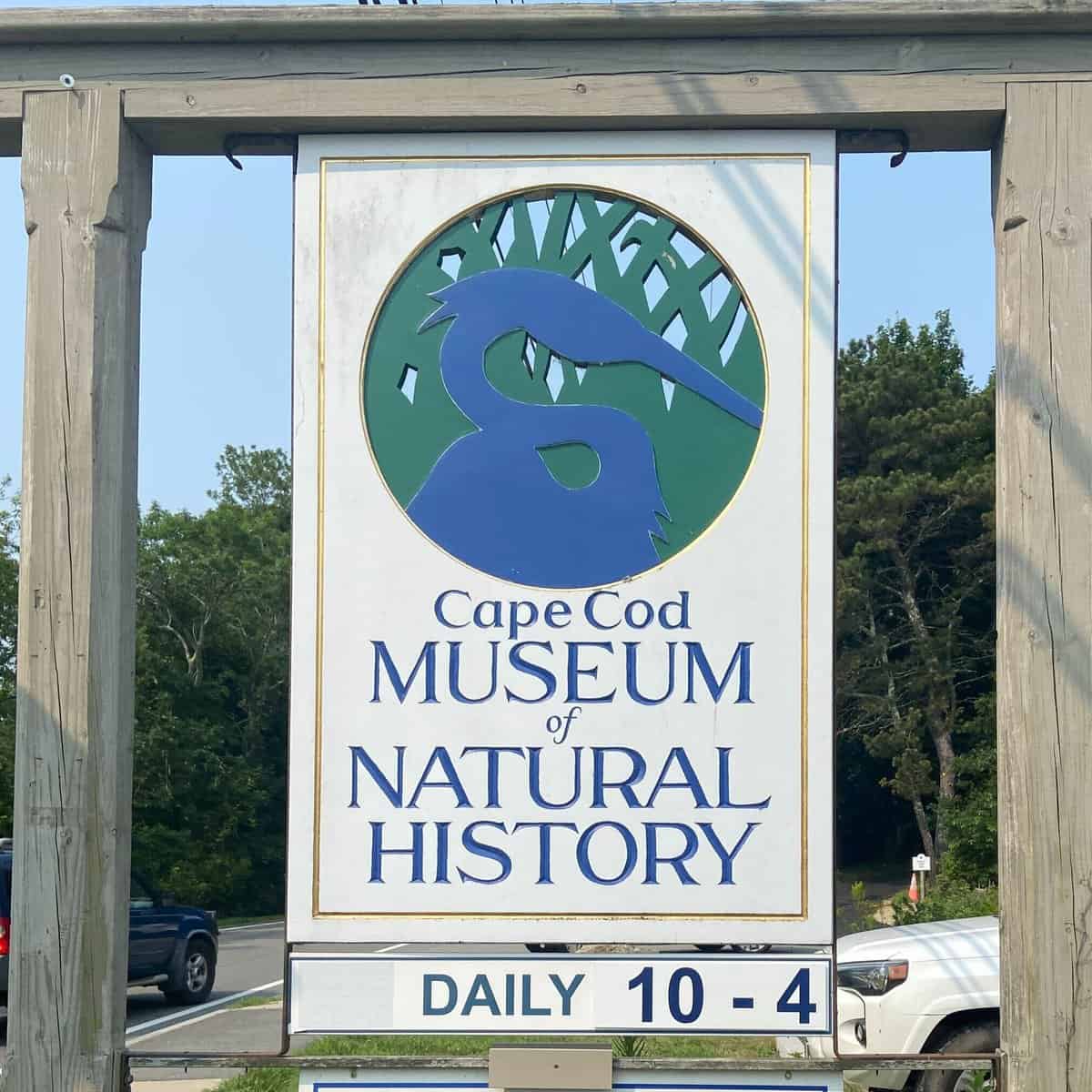 10 Things to Do at the Cape Cod Museum of Natural History