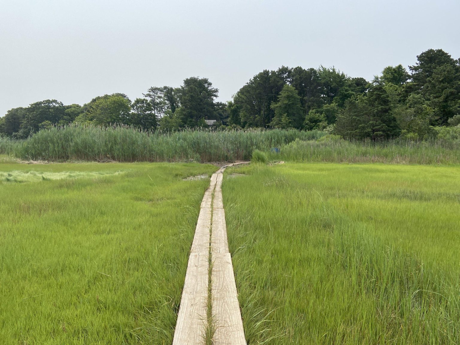 10 Things to Do at the Cape Cod Museum of Natural History ...