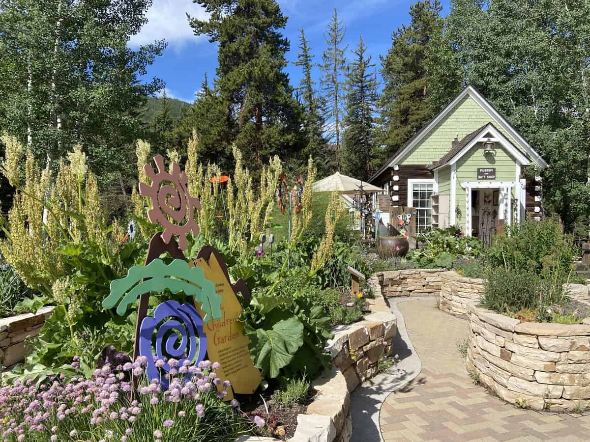 10 Ways to Explore the Betty Ford Alpine Gardens in Vail, CO