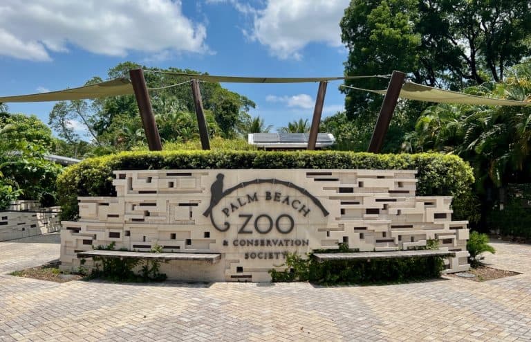10 Ways to Explore the Palm Beach Zoo in West Palm Beach, Florida