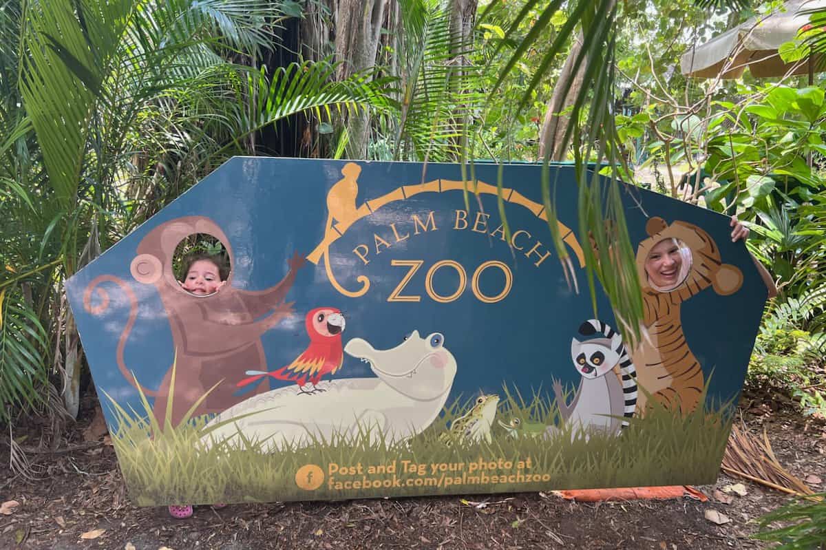 10 Ways to Explore the Palm Beach Zoo in West Palm Beach, Florida