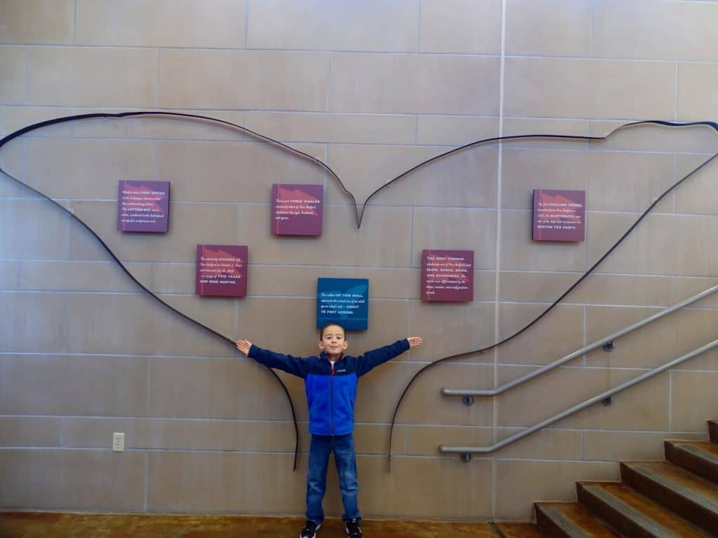 dimensions of a whale's tail at New Bedford Whaling Museum