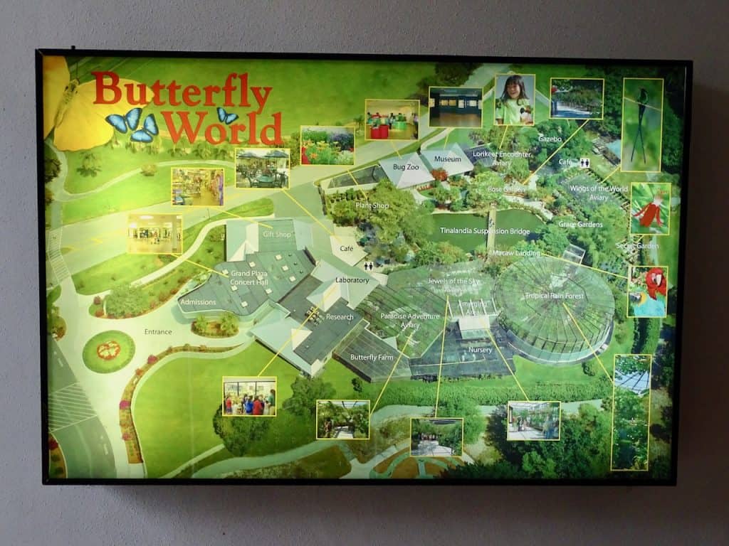 10 Ways to Explore Butterfly World in Coconut Creek, Florida