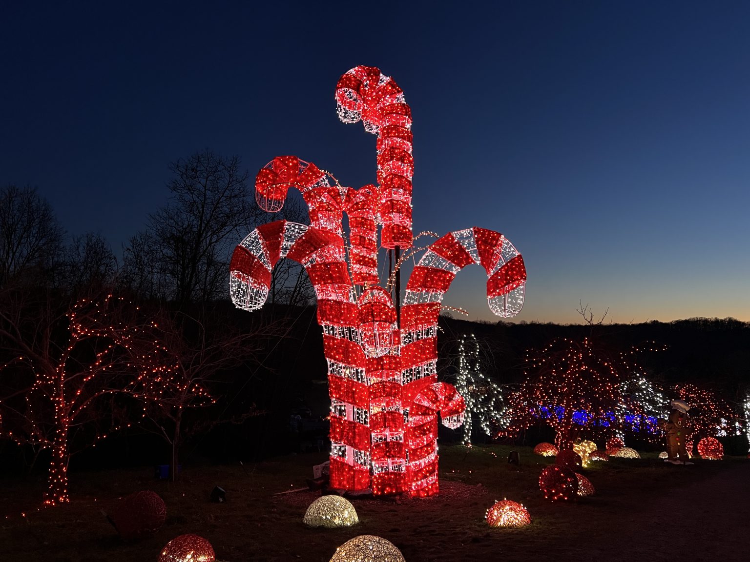 Lumagica At Harvest Moon Farm In North Salem, New York ...