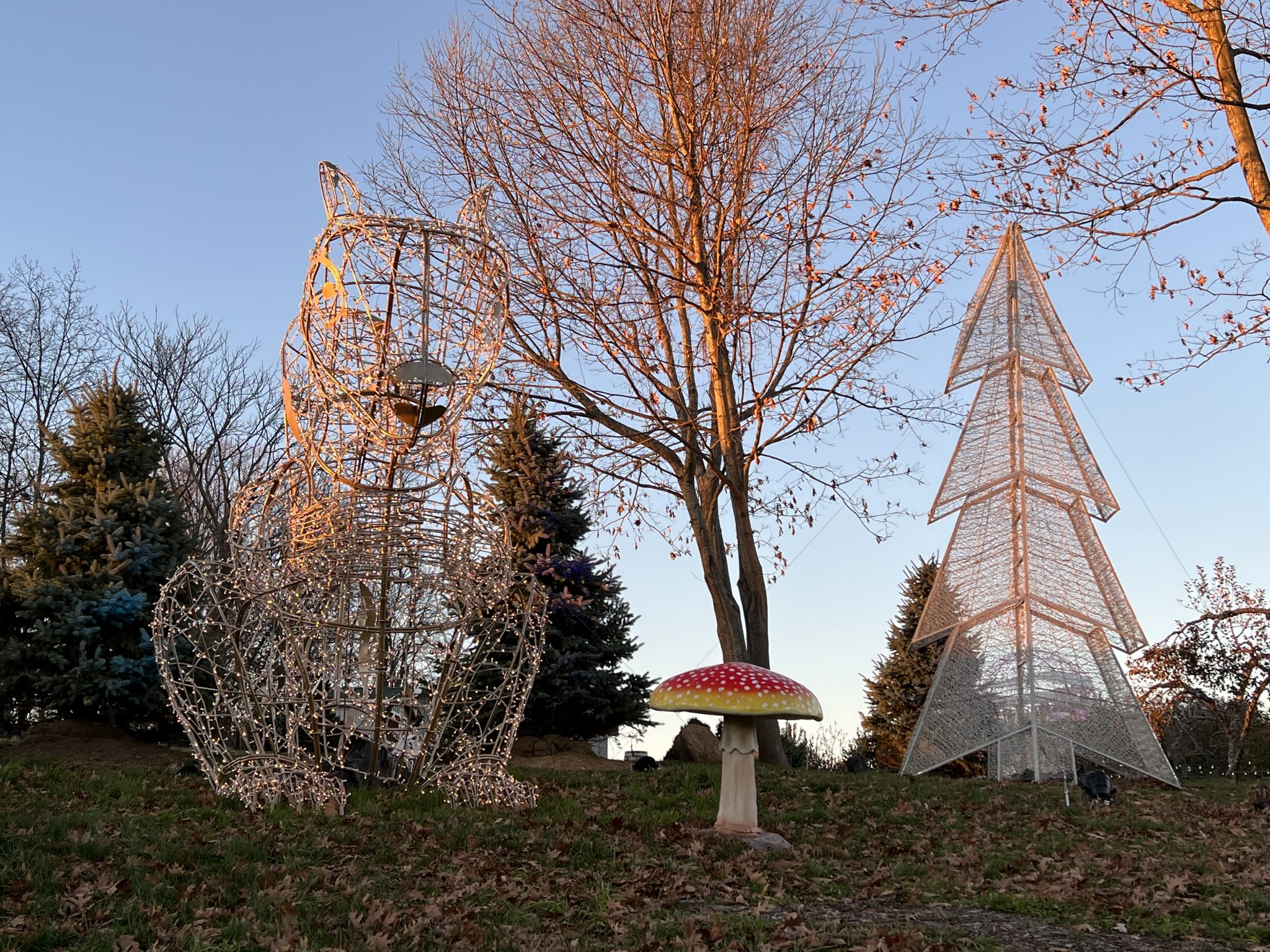 Lumagica At Harvest Moon Farm In North Salem, New York ...