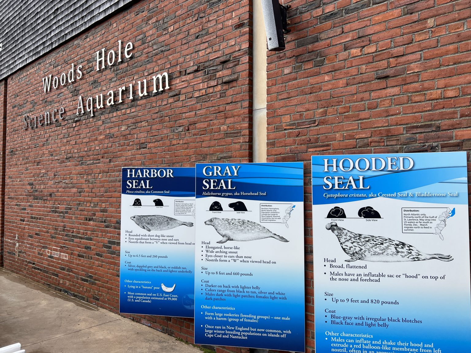 Five Ways to Explore the Woods Hole Science Aquarium on Cape Cod