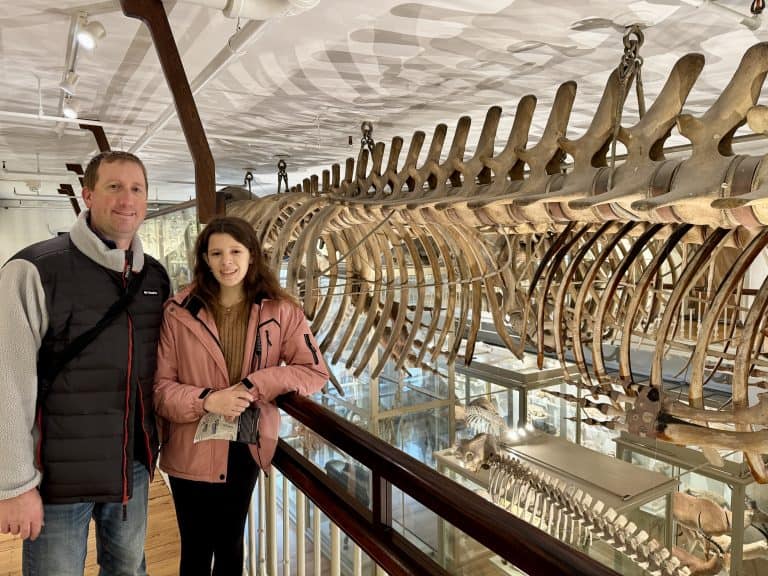 Great Mammal Hall at the Harvard Museum of Natural History in Cambridge, MA