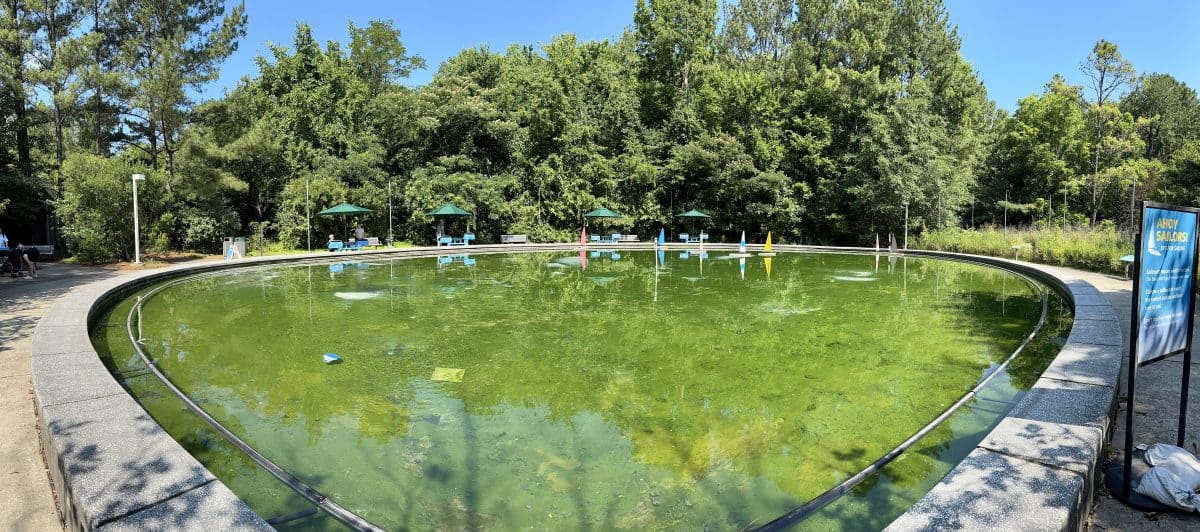 Catch the Wind pond at the Museum of Life and Science in Durham, NC