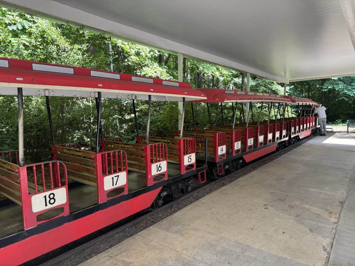 train at the Museum of Life and Science in Durham, NC