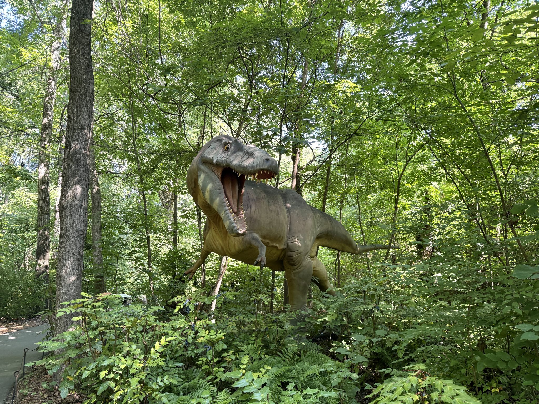 20 Ways to Have Fun at the Museum of Life and Science in Durham, NC ...