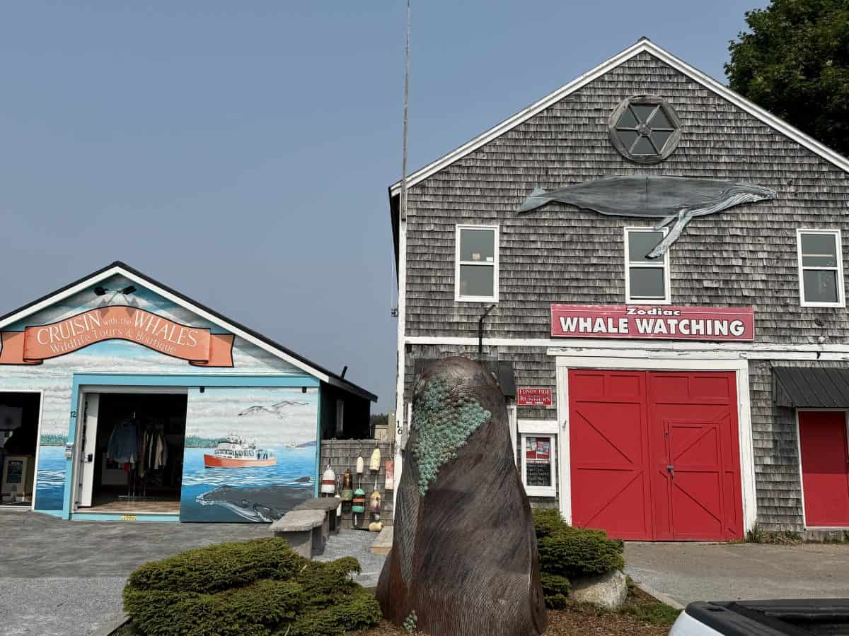 whale watching businesses in St. Andrews in New Brunswick, Canada