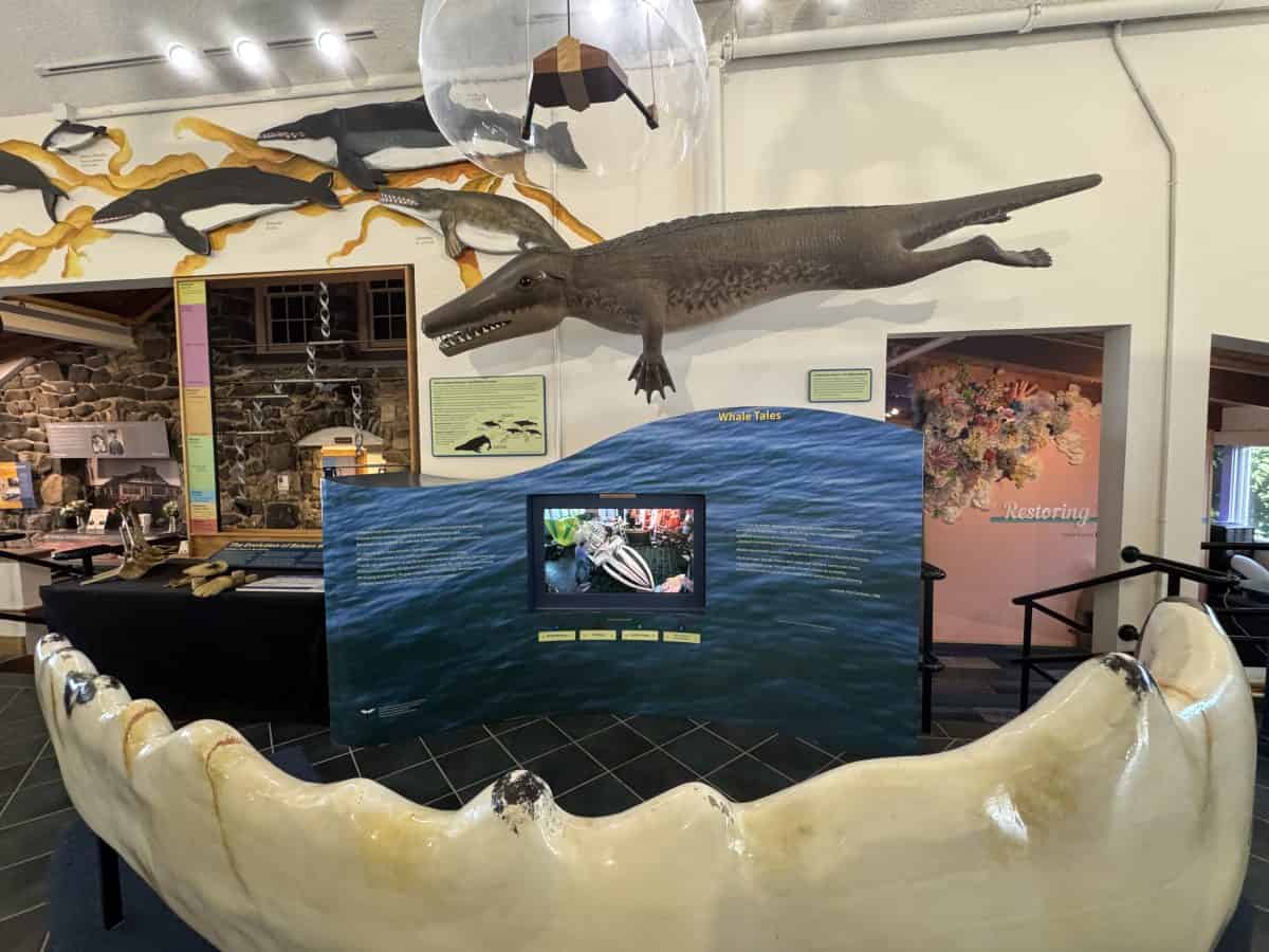 Seacoast Science Center in Portsmouth, NH