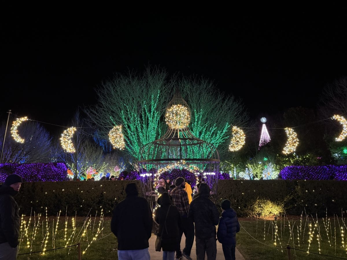 stages of the moon display at Winter Lights at the NC Arboretum in Asheville, NC