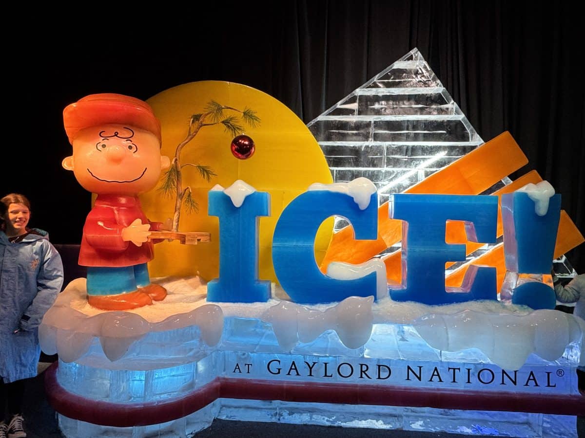 entrance to the 2024 ICE! exhibit at the Gaylord National Resort and Convention Center in National Harbor Maryland