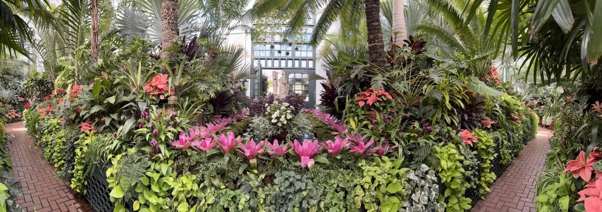 photo of the inside of the Conservatory at the Biltmore Estate in Asheville, NC
