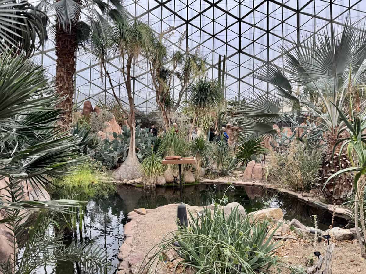 desert dome inside The Mitchell Park Domes in Milwaukee, Wisconsin