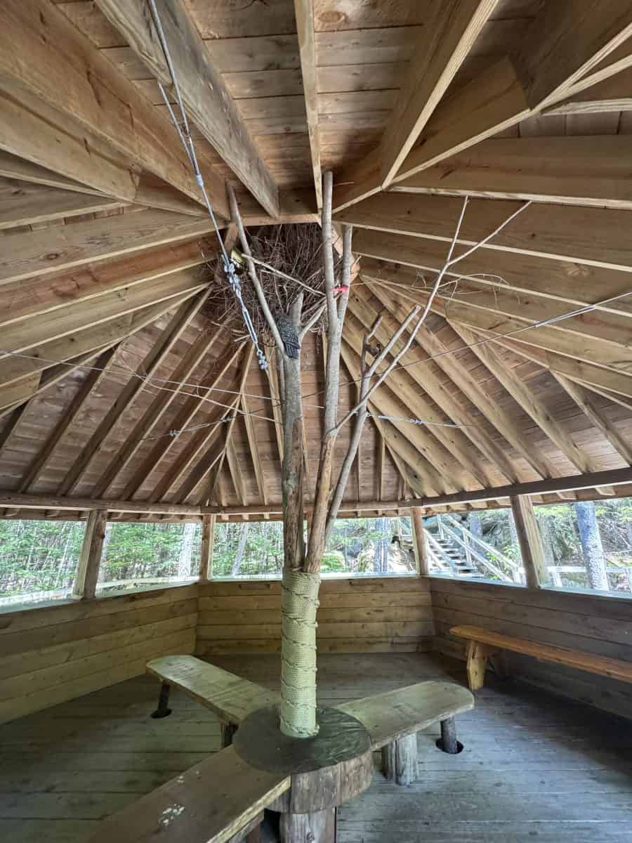 inside the treehouse at Lost River Gorge and Caves in NH