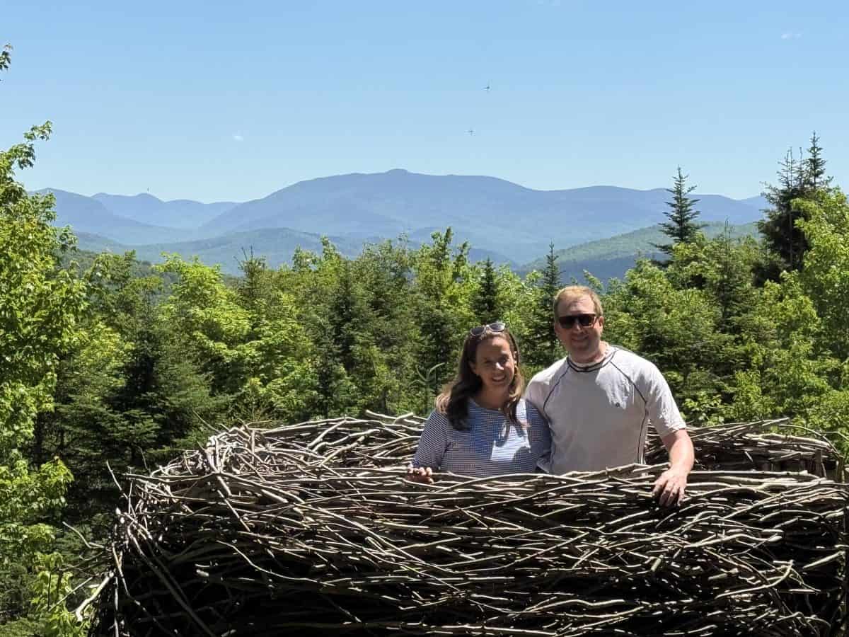 Bird's Nest at Lost River Gorge and Caves in NH