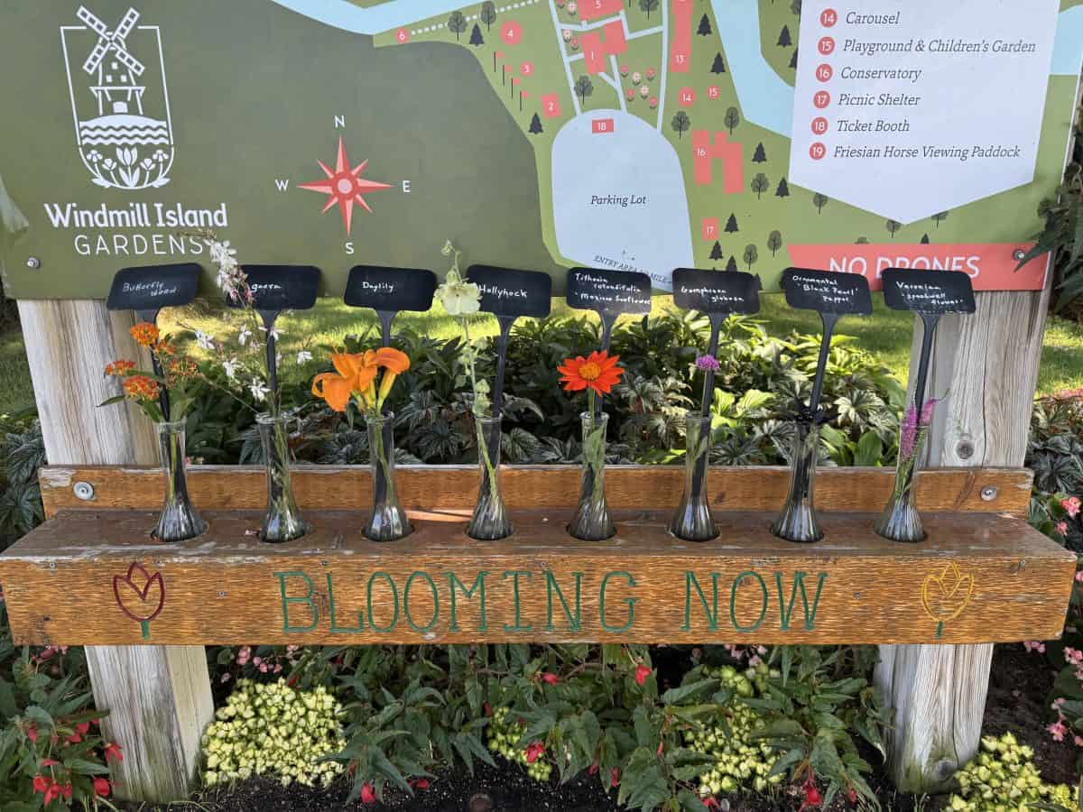 What's Blooming sign at Windmill Gardens Village in Holland, Michigan